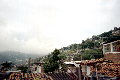 453-28.jpg