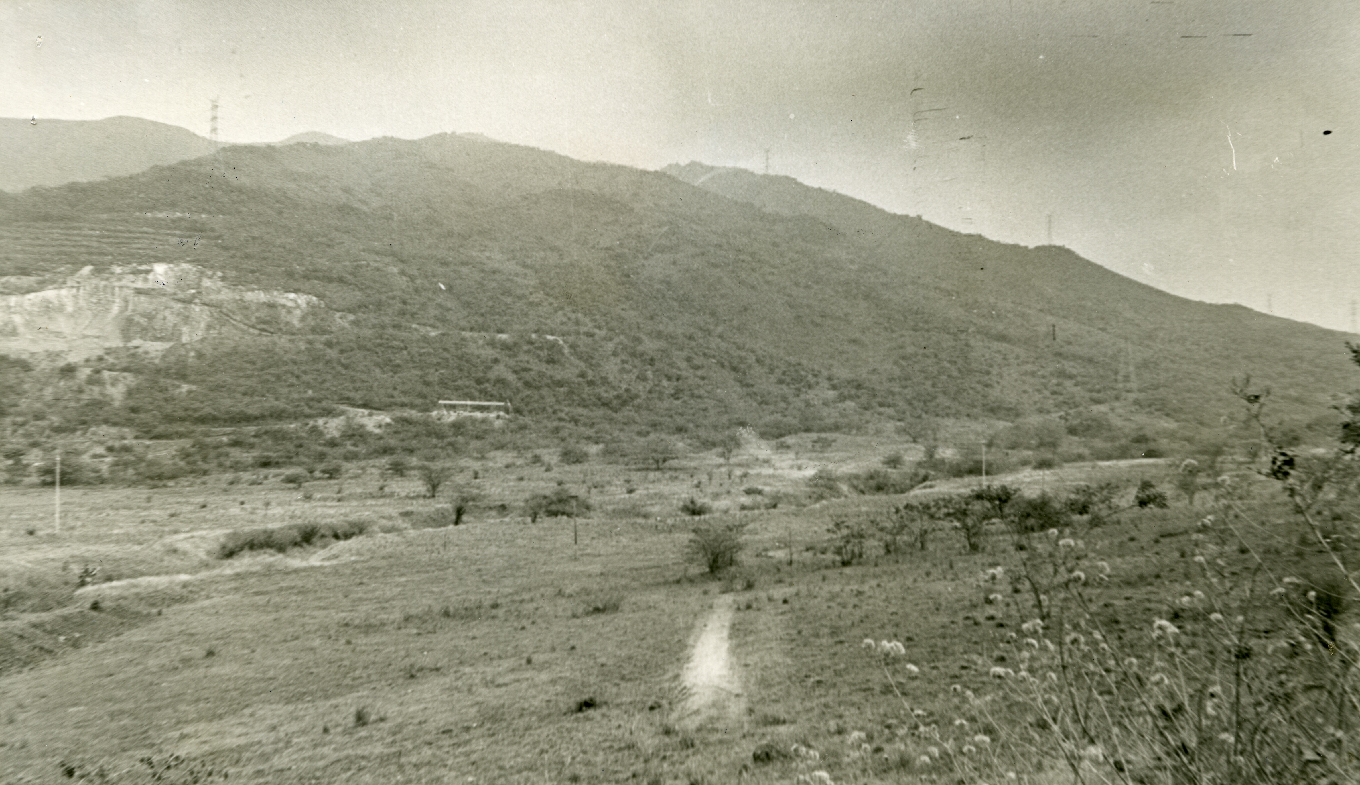 Fdo015949.jpg
