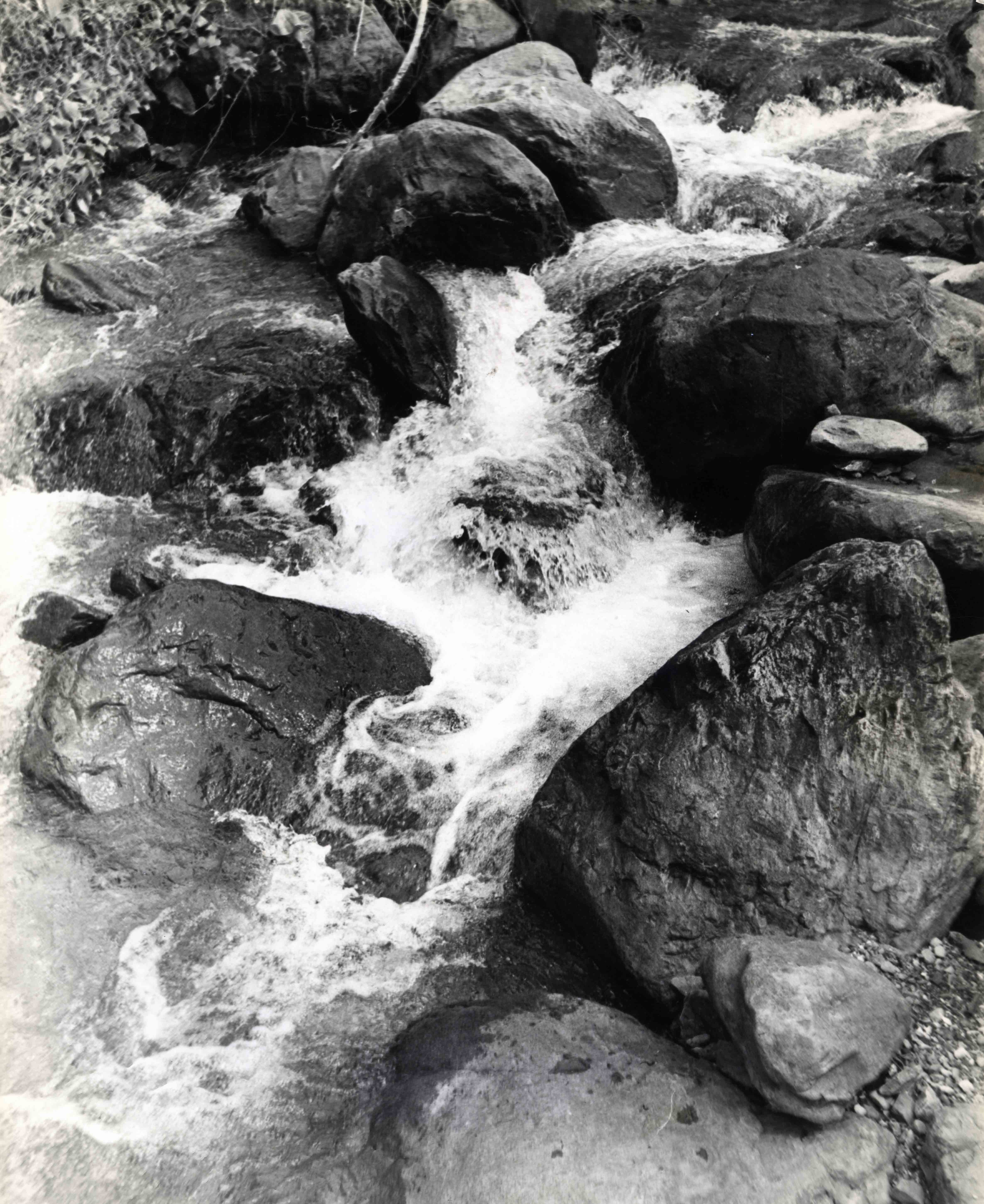 FDO05065.jpg