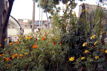 281-14.jpg
