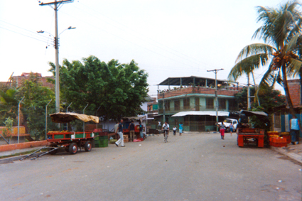 513-00.jpg
