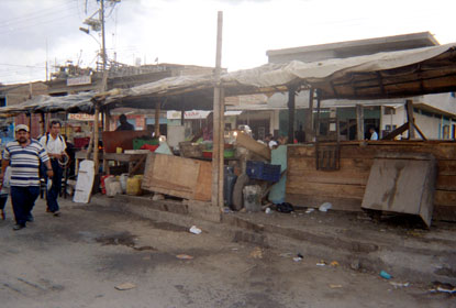 291-7.jpg