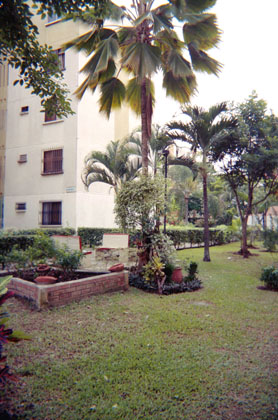 369-20.jpg