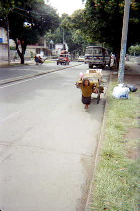 431-29.jpg