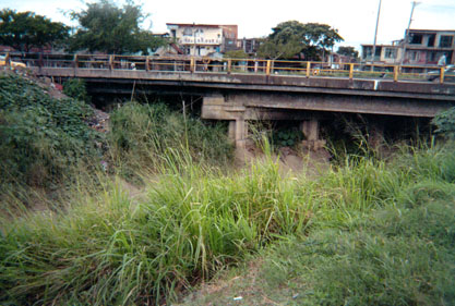 274-2.jpg