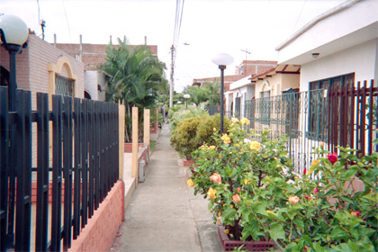 117-11.jpg