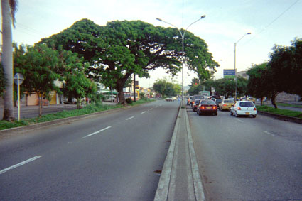 411-7.jpg