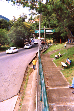 504-21.jpg