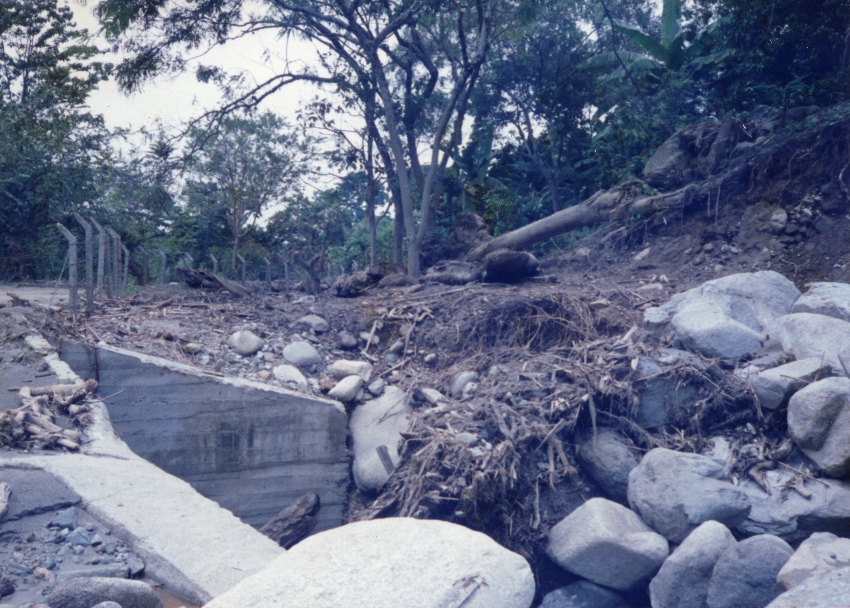 Fdo016081.jpg