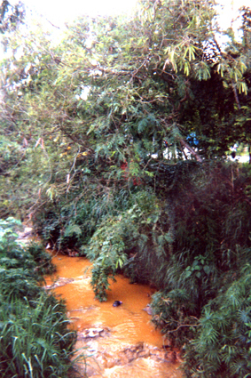 505-29.jpg