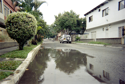 379-30.jpg