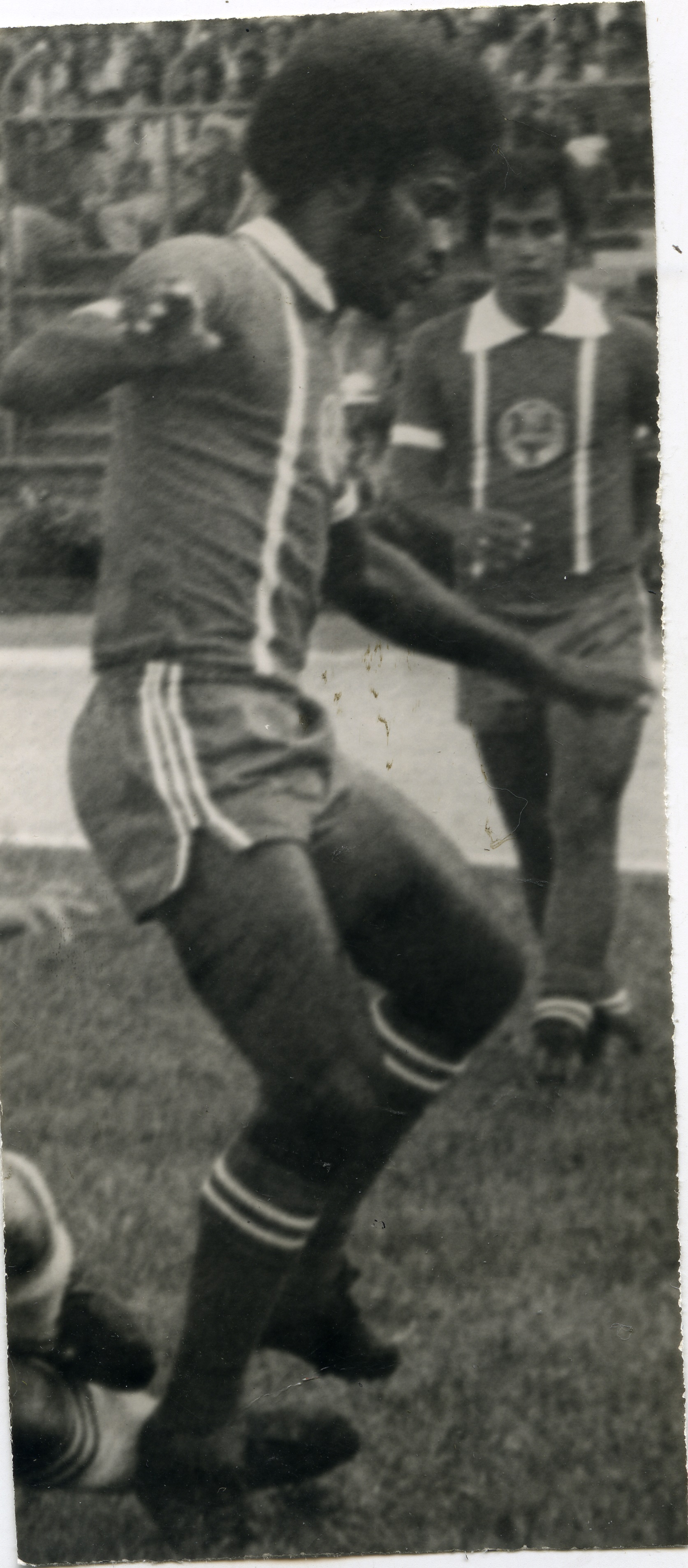 FDO017232.jpg