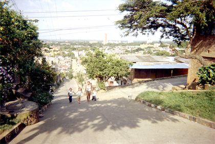 394-2.jpg