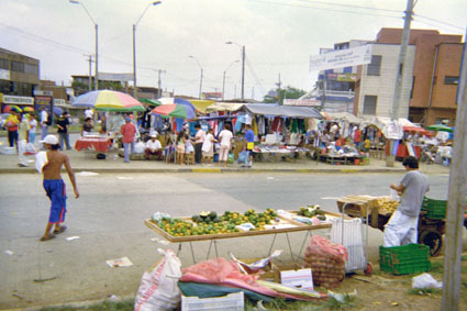 309-8.jpg