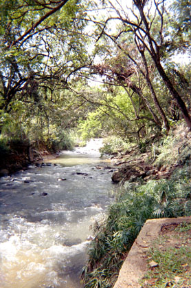 381-24.jpg
