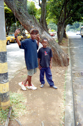 442-5.jpg