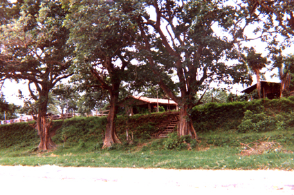 486-22.jpg