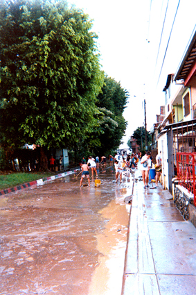 516-31.jpg