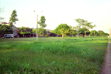 367-12.jpg