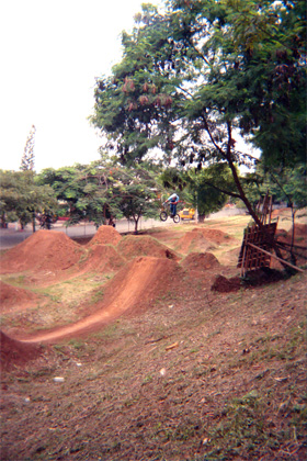 135-4.jpg