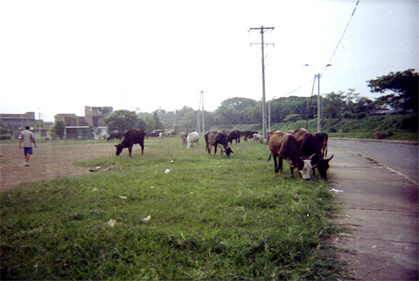 475-4.jpg
