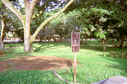 376-14.jpg