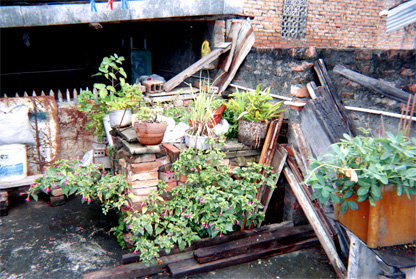 453-27.jpg