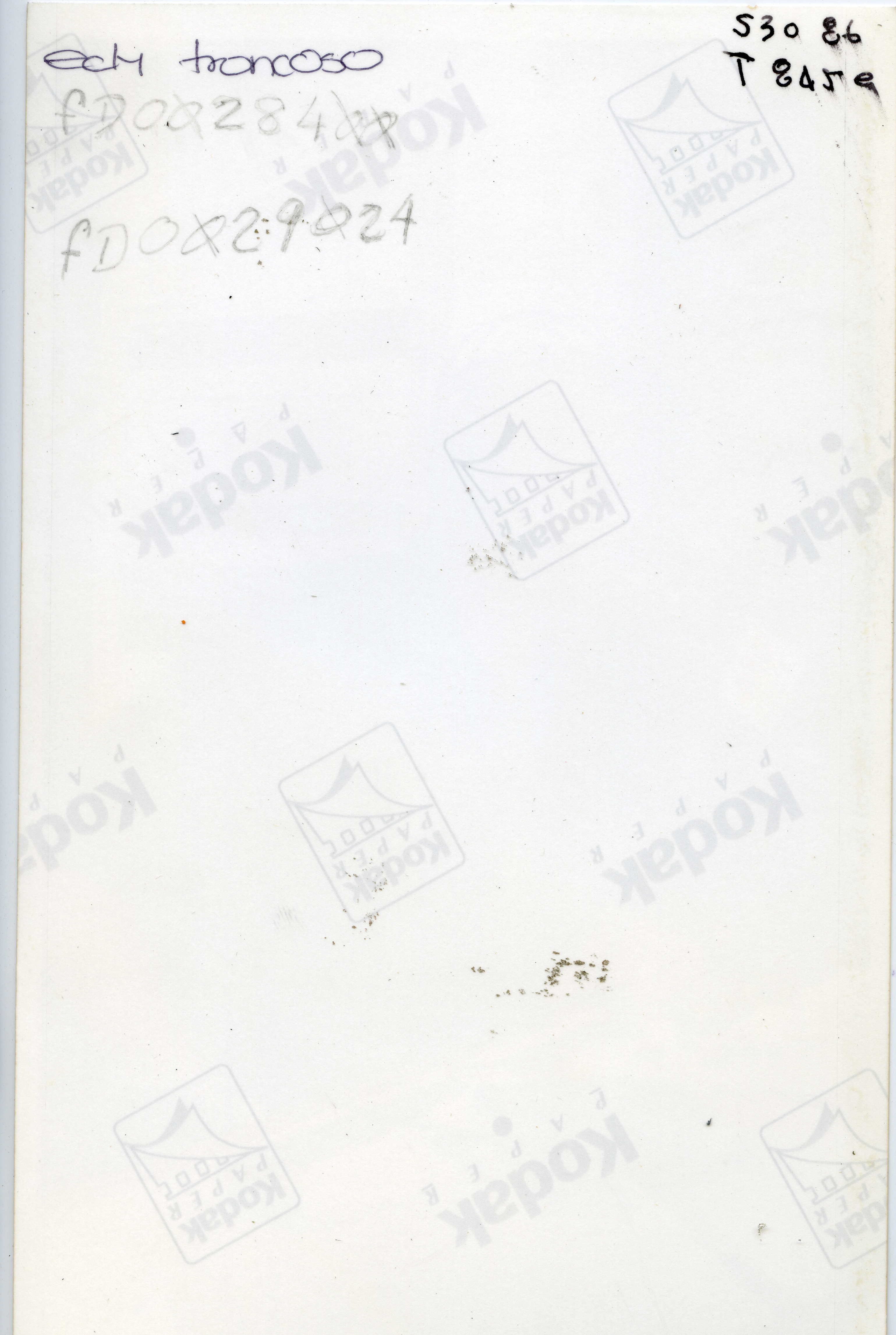 FDO029024A.jpg