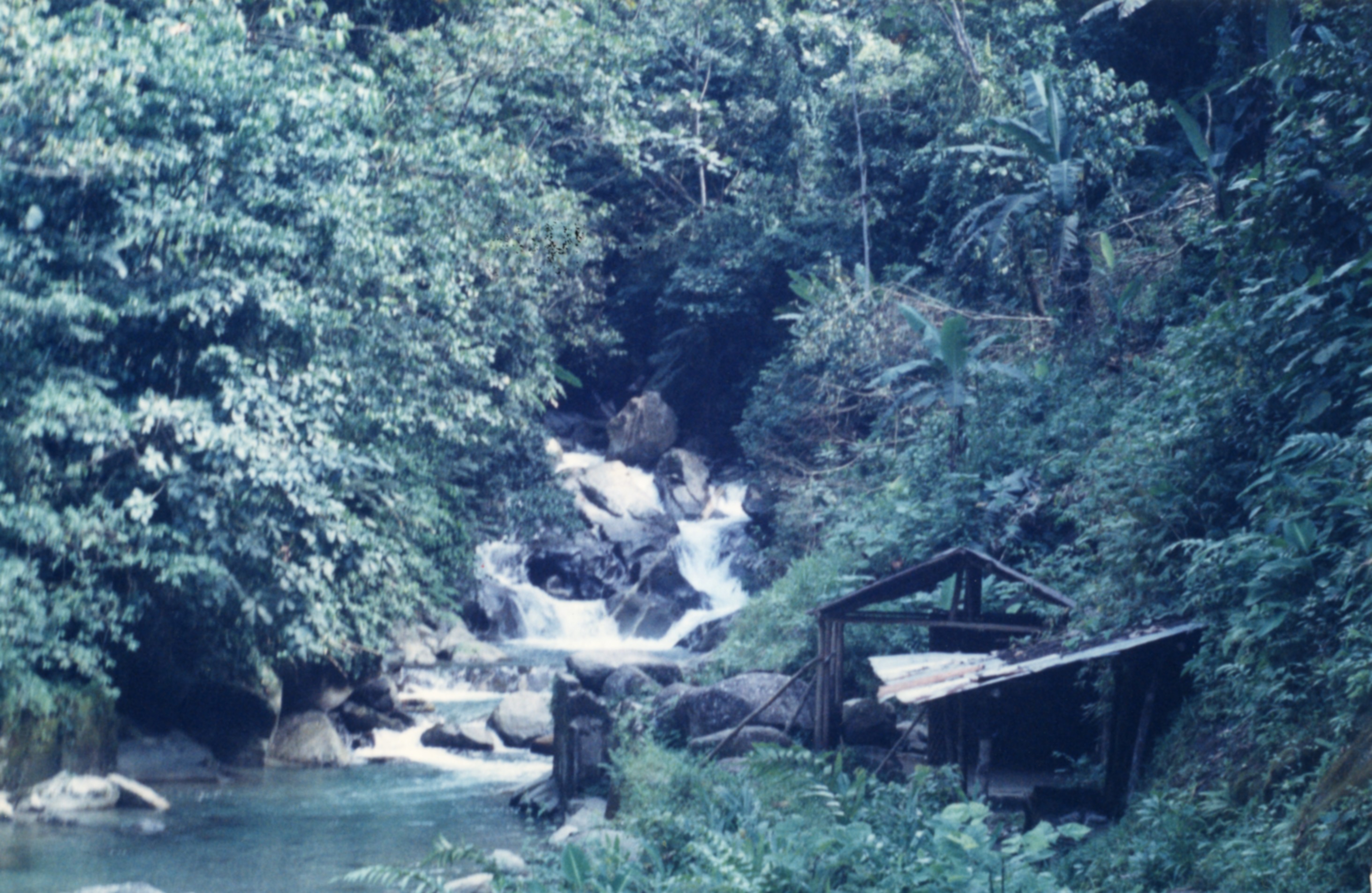 Fdo013816.jpg