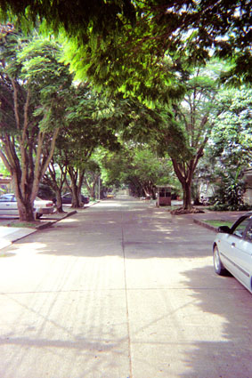 411-25.jpg