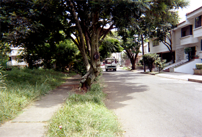 444-11.jpg
