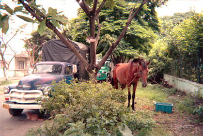 079-21.jpg