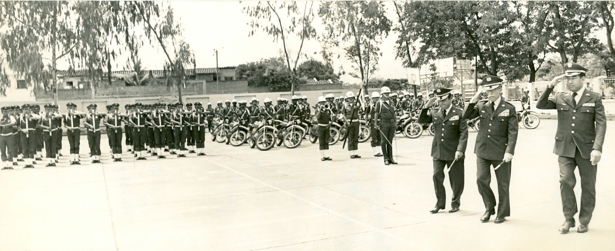fdo01960.jpg