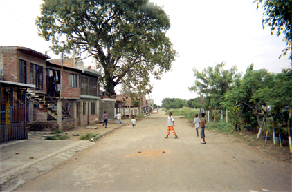 336-8.jpg