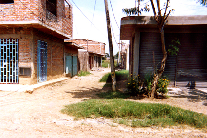 477-9.jpg