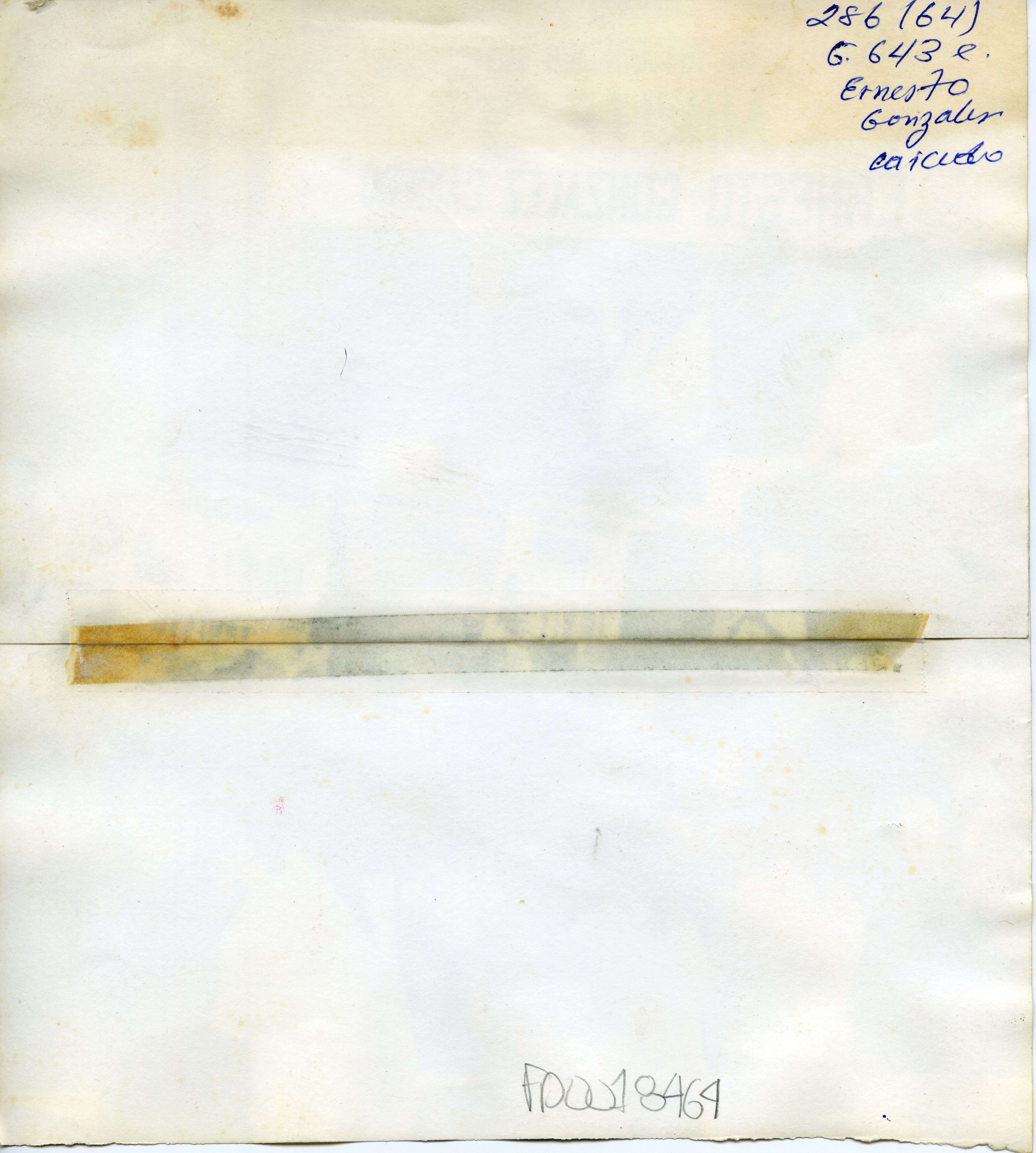 FDO018464A.jpg
