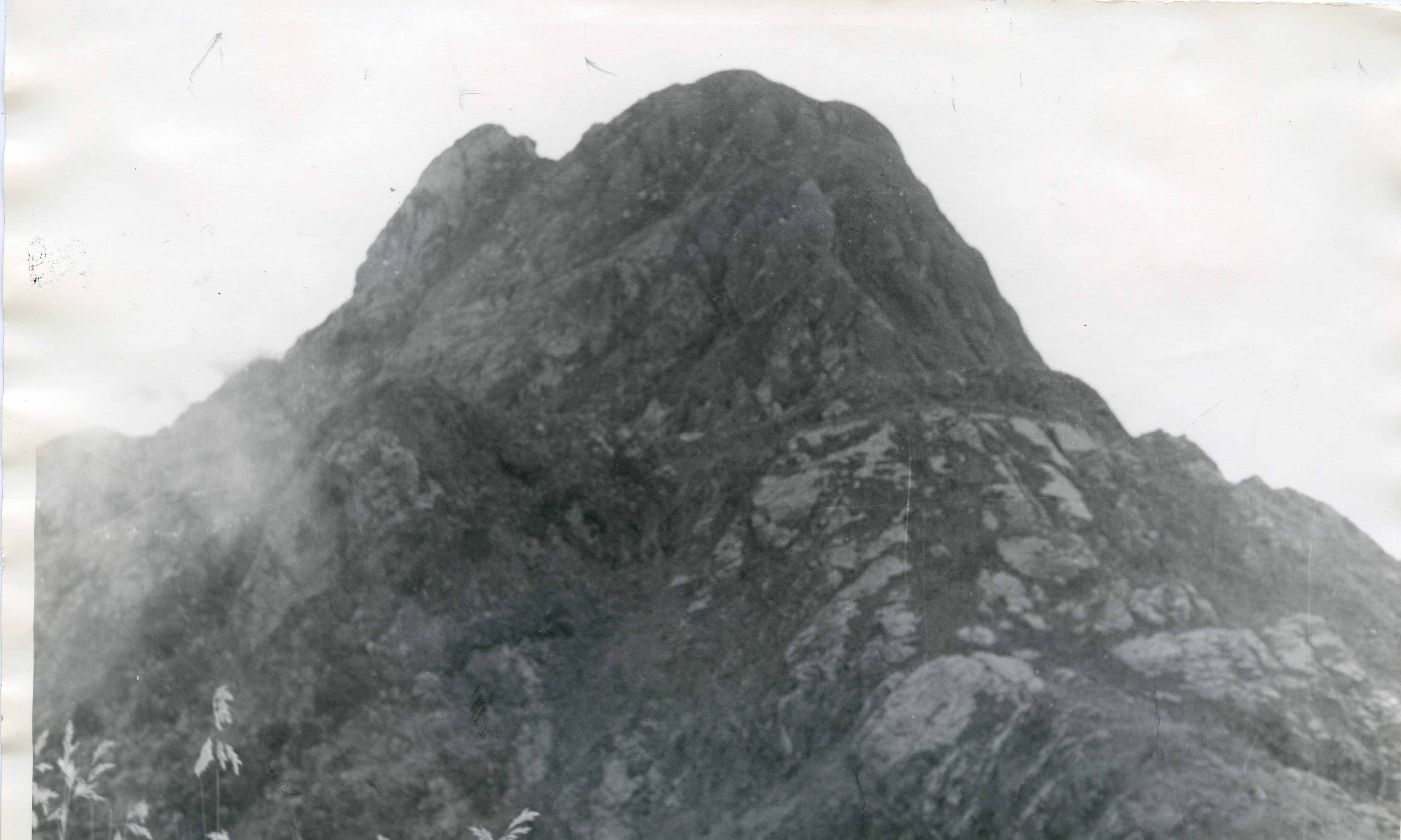 FDO08292.jpg