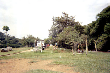 397-7.jpg