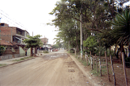 336-21.jpg
