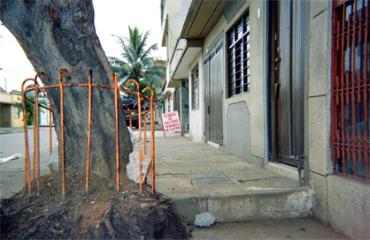 203-3.jpg