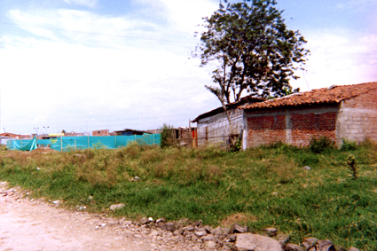 477-16.jpg