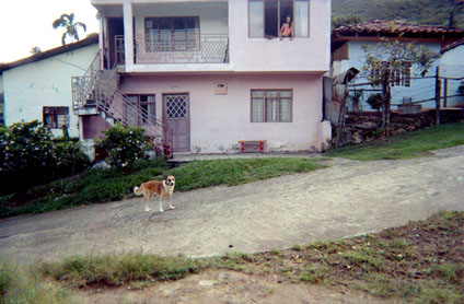 455-23.jpg