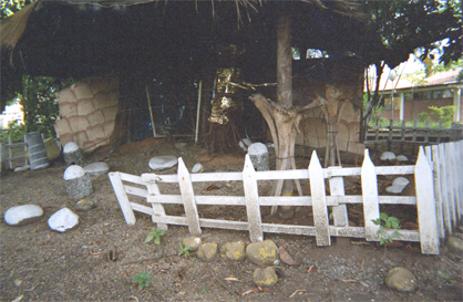 196-11.jpg