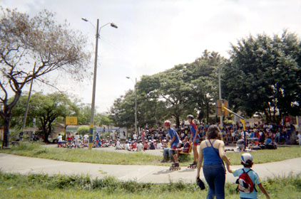 260-7.jpg