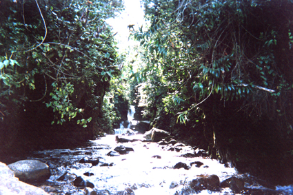 503-23.jpg