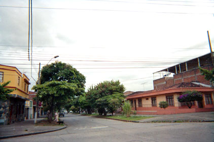 192-9.jpg