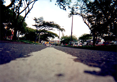 035-19.jpg