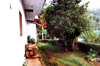 500-26.jpg