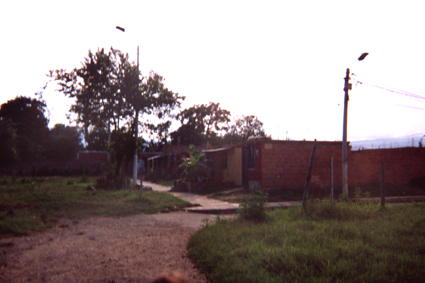 489-17.jpg