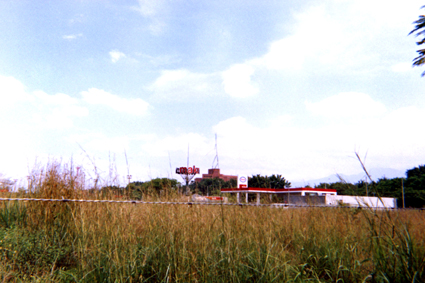 491-10.jpg